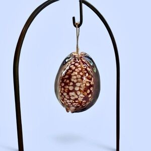 Humpback Cowry Cowrie Shell‎ Gold Wire Bail EUC
